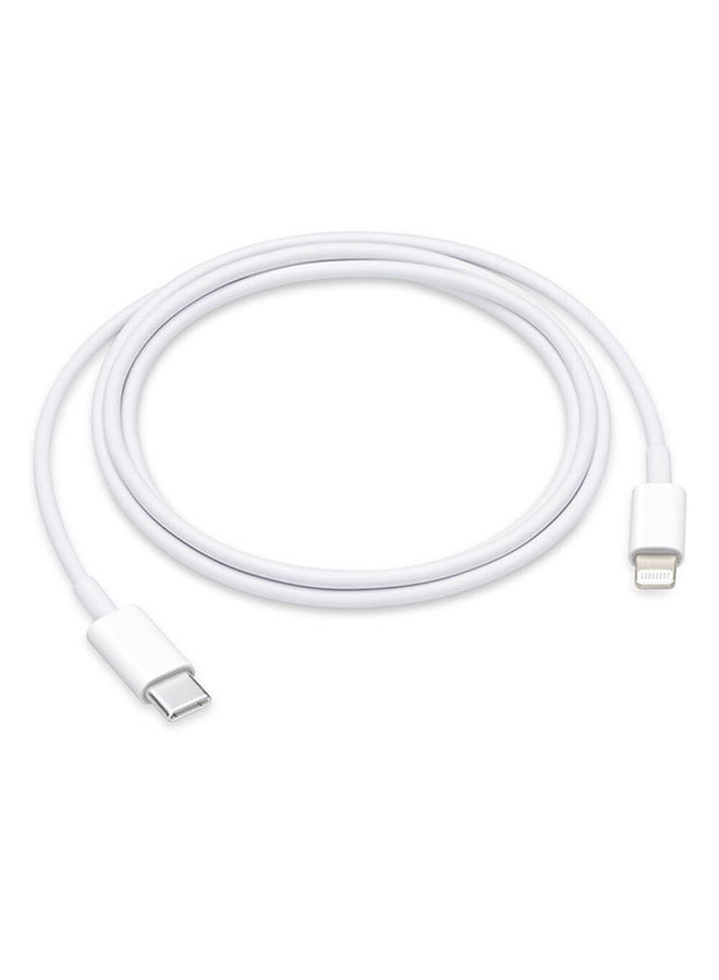 Apple PD Cable