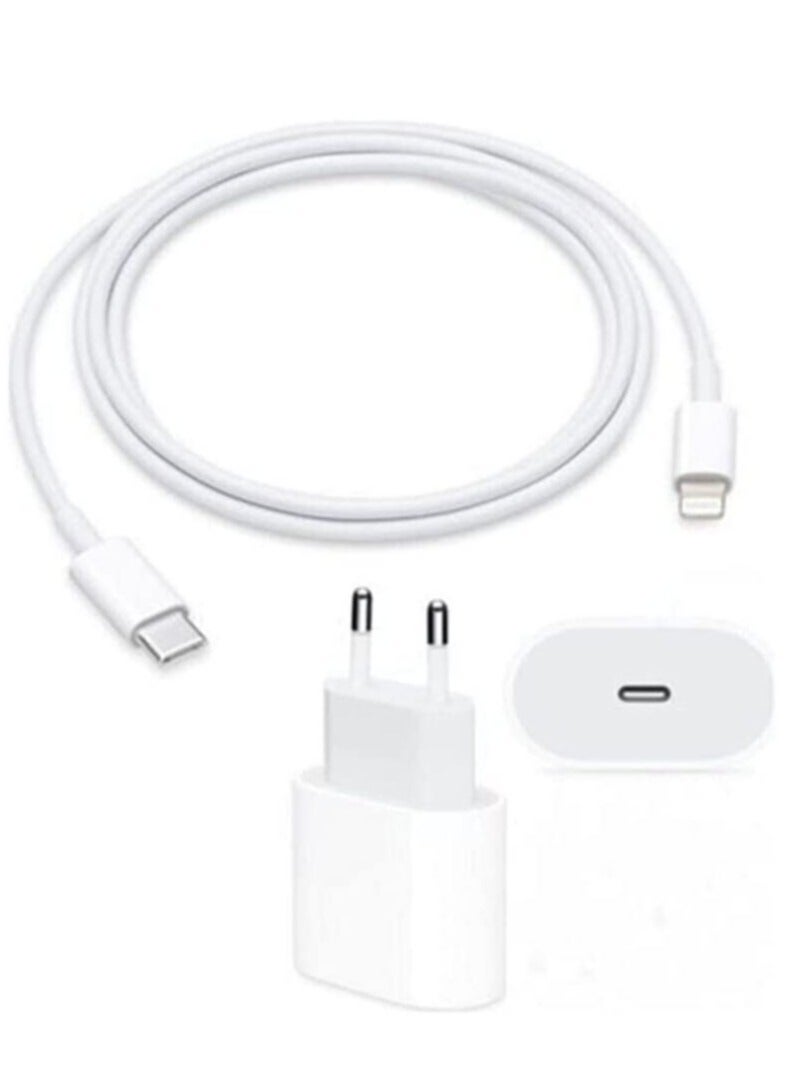 Apple iPhone Charger