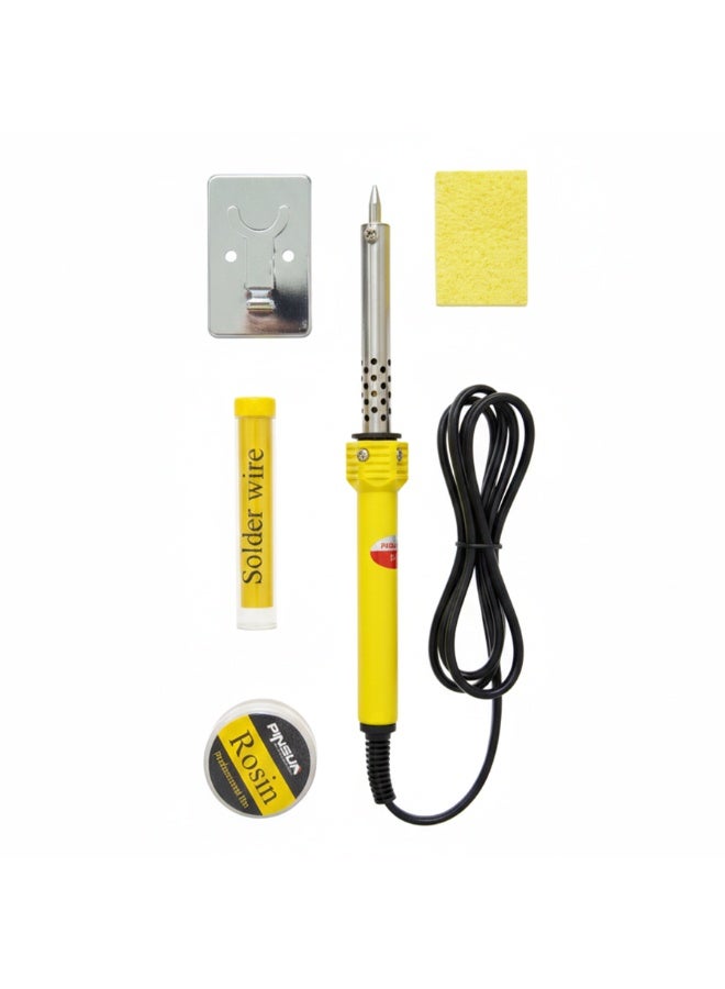 Pinsun Electric Welding Iron 60W