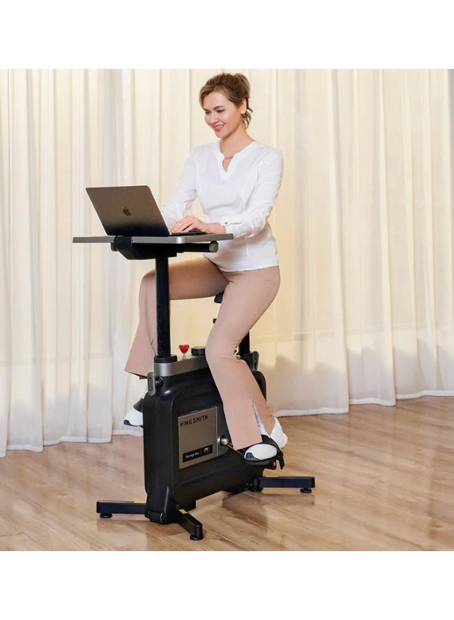 KINGSMITH W1B Workstation Bike
